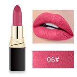 1PC 12 Color Professional Matte Lipstick Cosmetic Waterproof Long Lasting Pigment Velvet Sexy Red Lip Matte Nude Lips Small size