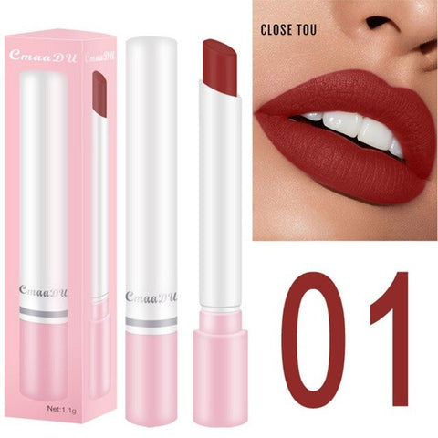 New Matte Lipstic 8 Colors Lipstick Matte Tobacco Tube Lipstick Long-Lasting Waterproof Lipstick  Shape Lipstick