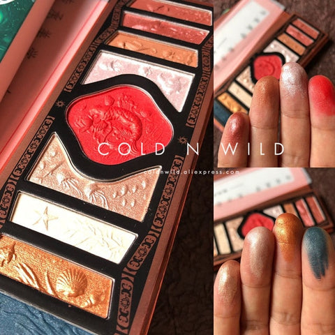 cold n wild Chinese style 2020 new  makeup palette eyeshadow   Waterproof highlight blush palette of shadow